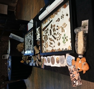 'The Mudlark Experience: Researching finds from the River Thames' November 2025.