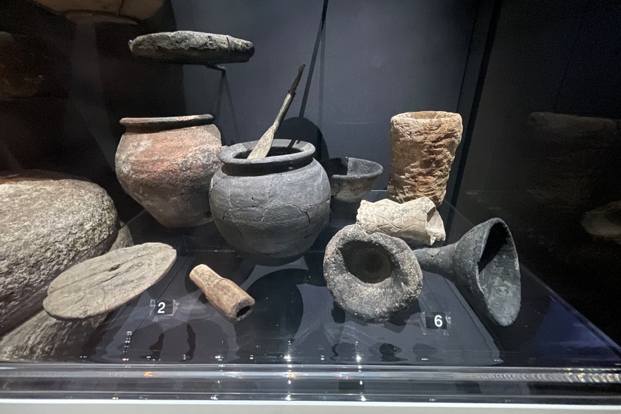 Jorvik Viking Centre